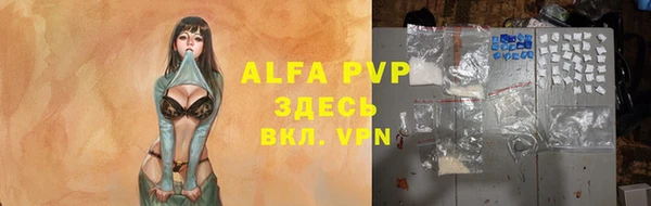 стафф Алексин