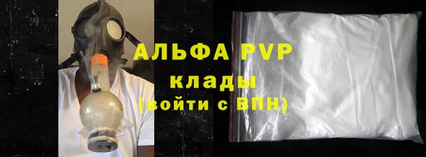 стафф Алексин