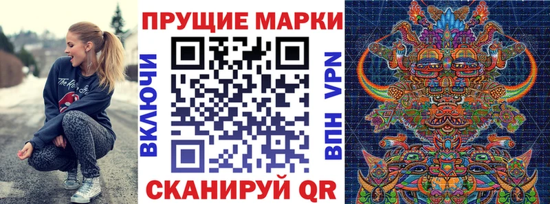 где найти Губкин Марки N-bome 1500мкг