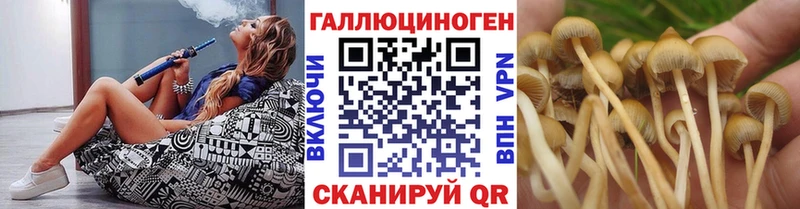 Псилоцибиновые грибы GOLDEN TEACHER  OMG онион  Губкин  цены  